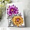 Botanical Elegance: Capture the Colors of Nature Alcohol Marker Coloring Sheets